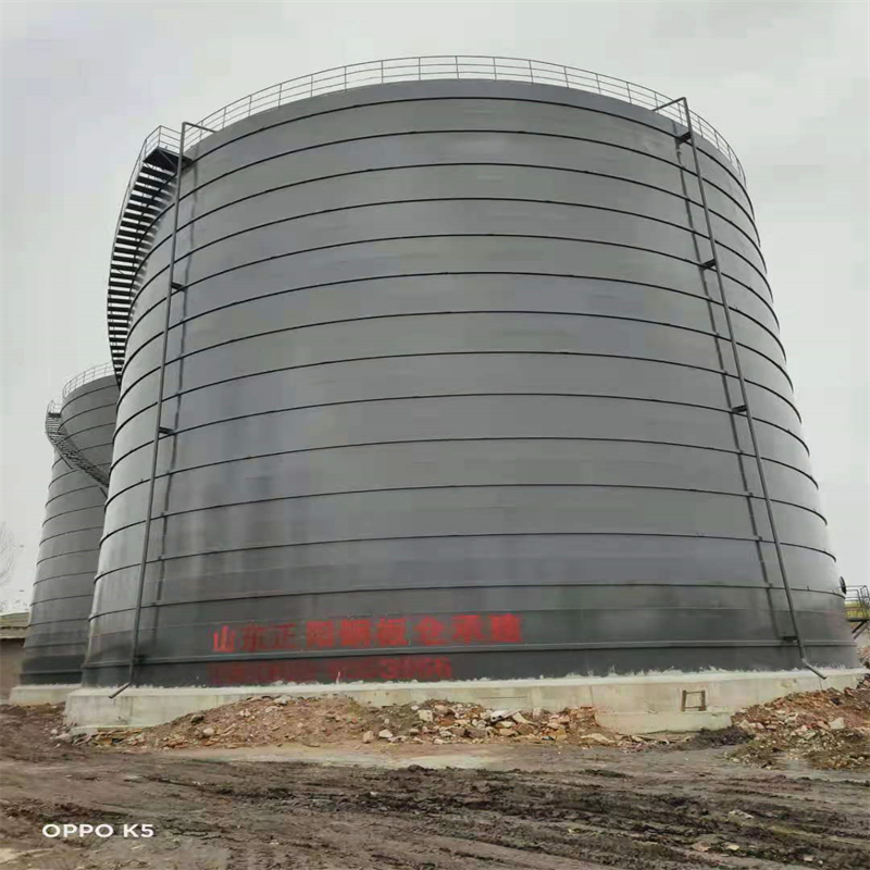 永善3万吨大型钢板库