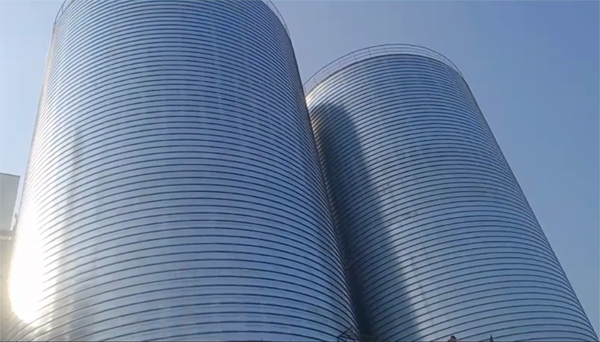 永善2座混凝土高架卷板仓